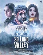 So Long Valley (2025)